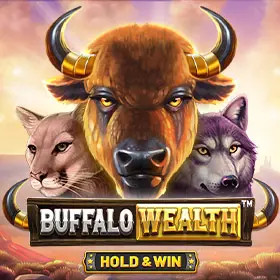Buffalo Wealth  Hold  Win