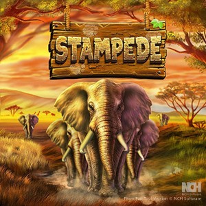 Stampede