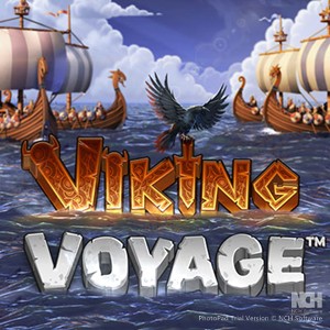 Viking Voyage