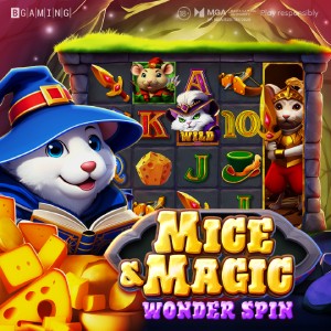 Mice  Magic Wonder Spin