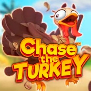 Chase the Turkey 